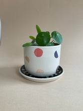 Load image into Gallery viewer, Planter and Saucer