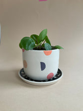 Load image into Gallery viewer, Planter and Saucer
